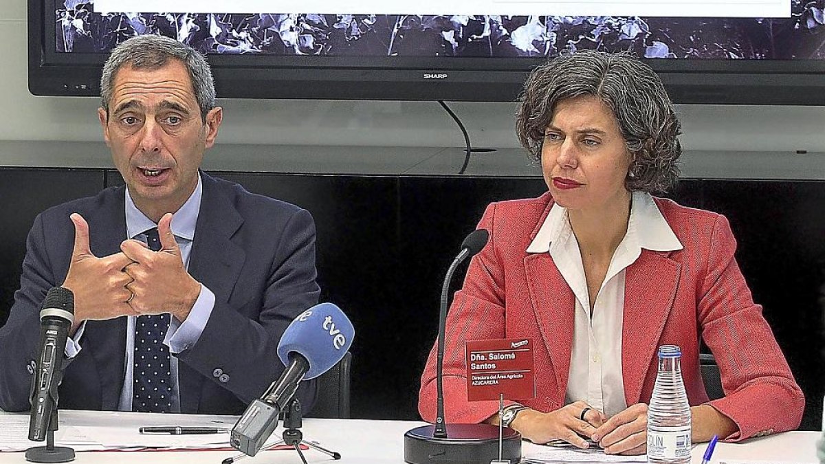 Juan Luis Rivero junto a Salomé Santos, el día que anunció en Madrid el recorte de las ayudas.-ICAL