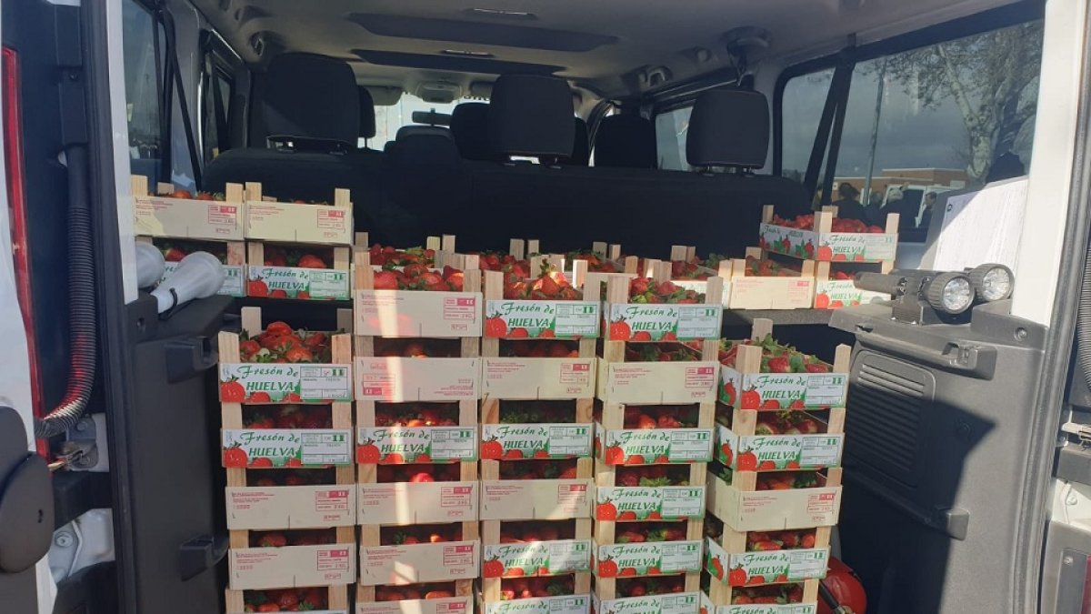 Las fresas inacutadas. - POLICÍA VALLADOLID