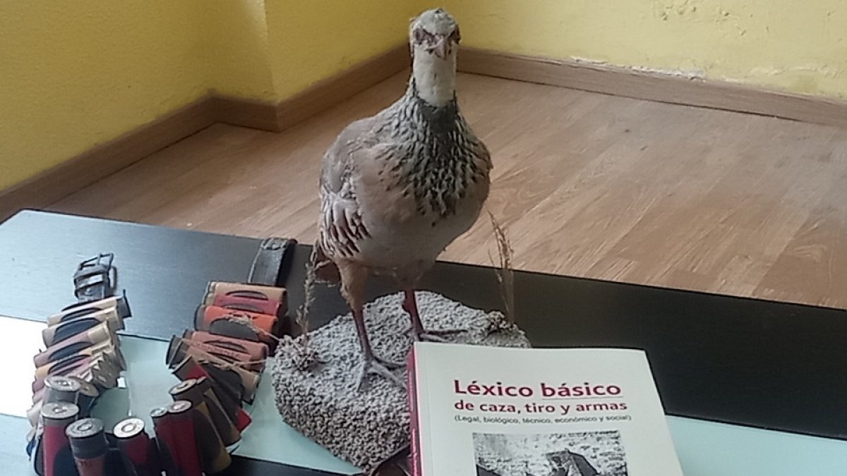 Ejemplar de Léxico básico. / L.D.F.