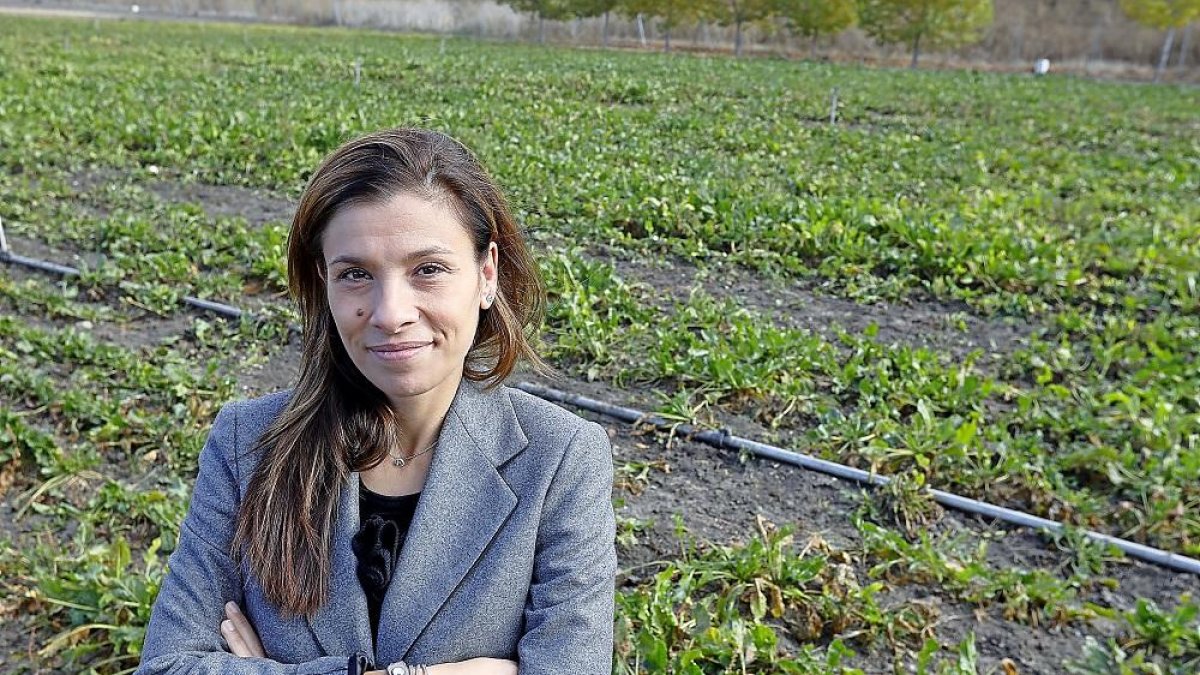 La directora de la Asociación de Investigación para la Mejora del Cultivo de la Remolacha Azucarera (Aimcra), Elba Rosique.-J. M. LOSTAU