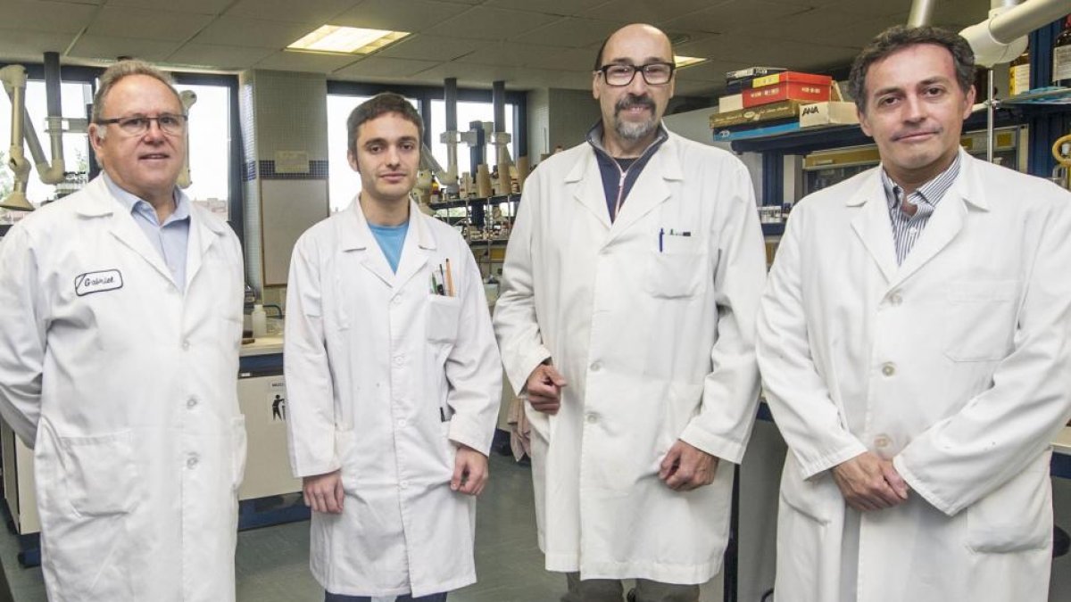 Gabriel García, Víctor García, Tomás Torroba y José Vicente Cuevas en el laboratorio donde trabajan-ISRAEL L. MURILLO