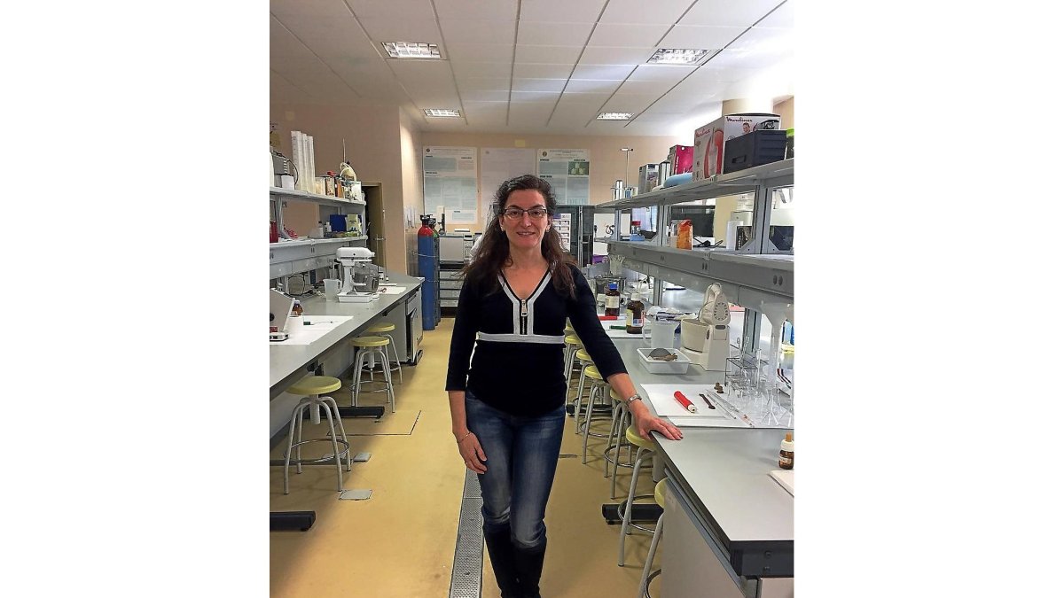 La investigadora Isabel Revilla en uno de los laboratorios de la Universidad de Salamanca.-EL MUNDO