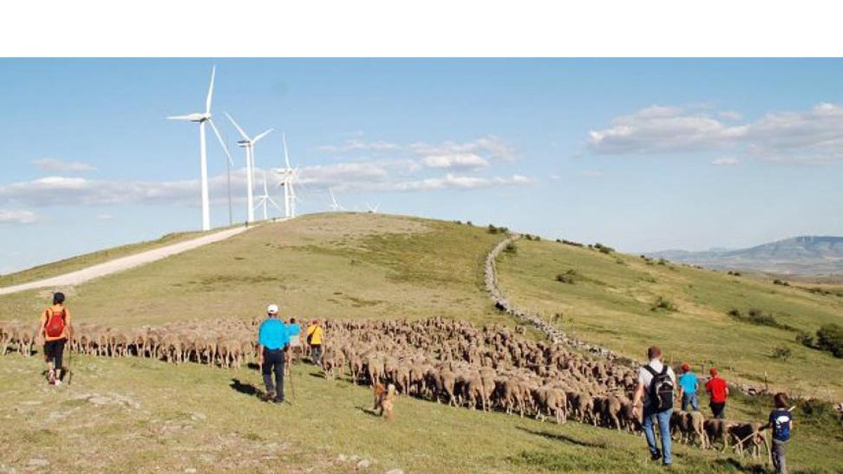 Participantes en las jornadas ‘Somos trashumantes’ camino hacia la comarca de Tierras Altas desde la capital soriana.-MANCOMUNIDAD DE TIERRAS ALTAS