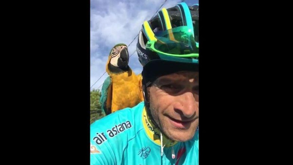 Michele Scarponi y 'Frankje', el loro que lo sigue en los entrenamientos.-