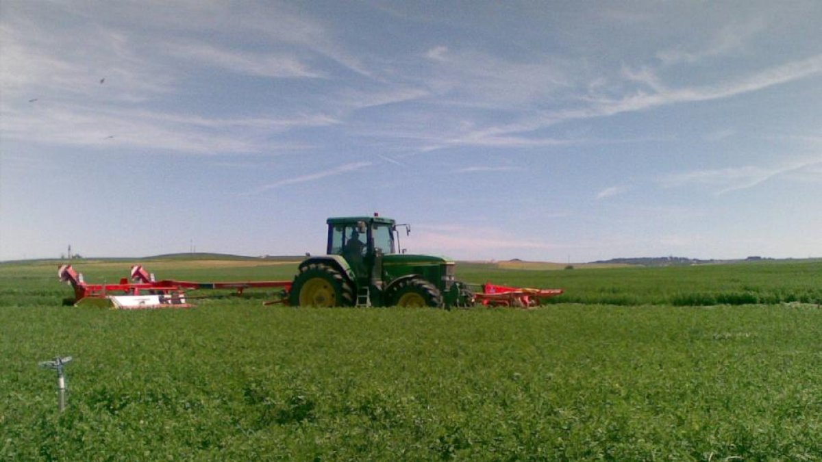 Máquina segadora en los campos de cultivo de alfalfa en Villalar de los Comuneros (Valladolid).-EL MUNDO