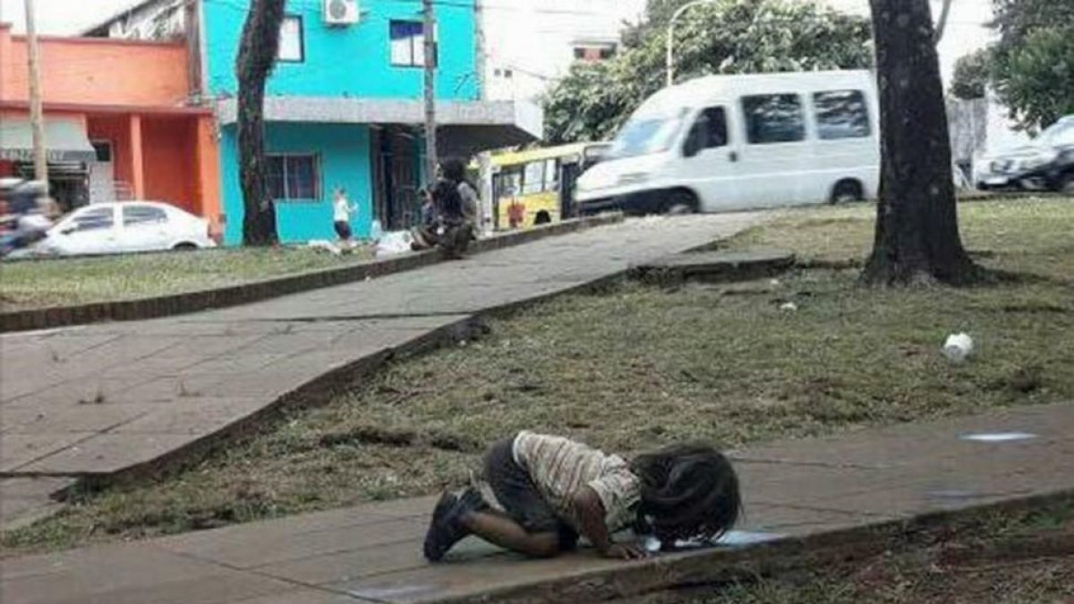 Foto tomada por una periodista de la revista Misiones Online  de la ciudad argentina de Posadas.-MISIONES ONLINE