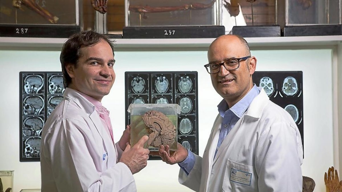 Miguel Ángel Galán y Federico Montero en las instalaciones de la Facultad de Medicina de la Universidad de Valladolid.-J. C. CASTILLO / PHOTOGENIC