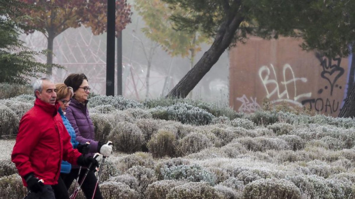 Tres personas pasean por un parque en el que se deja ver el efecto de la cencellada en Valladolid.-MIGUEL ÁNGEL SANTOS