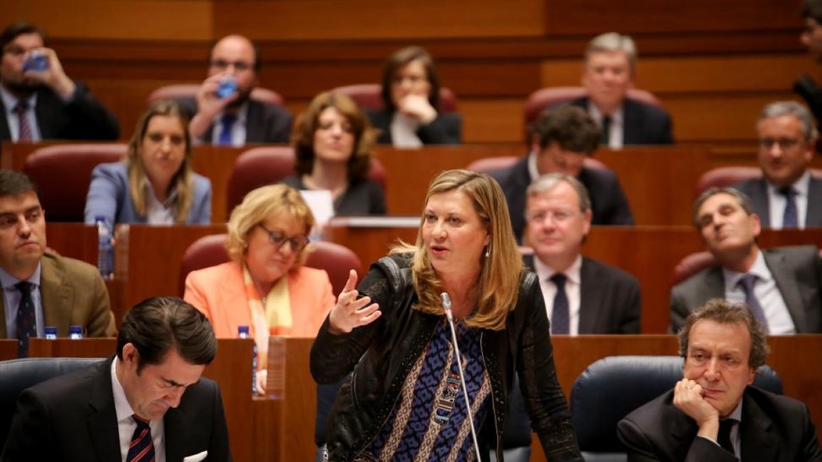 La consejera de Hacienda, Pilar del Olmo, durante su intervención en el pleno de las Cortes de Castilla y León.-ICAL