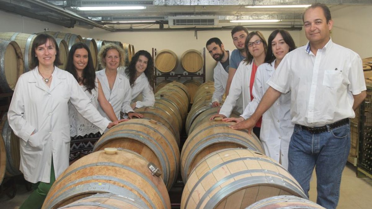 Investigadores del grupo de Procesos Enológicos de la Universidad de Valladolid.-MANUEL BRÁGIMO