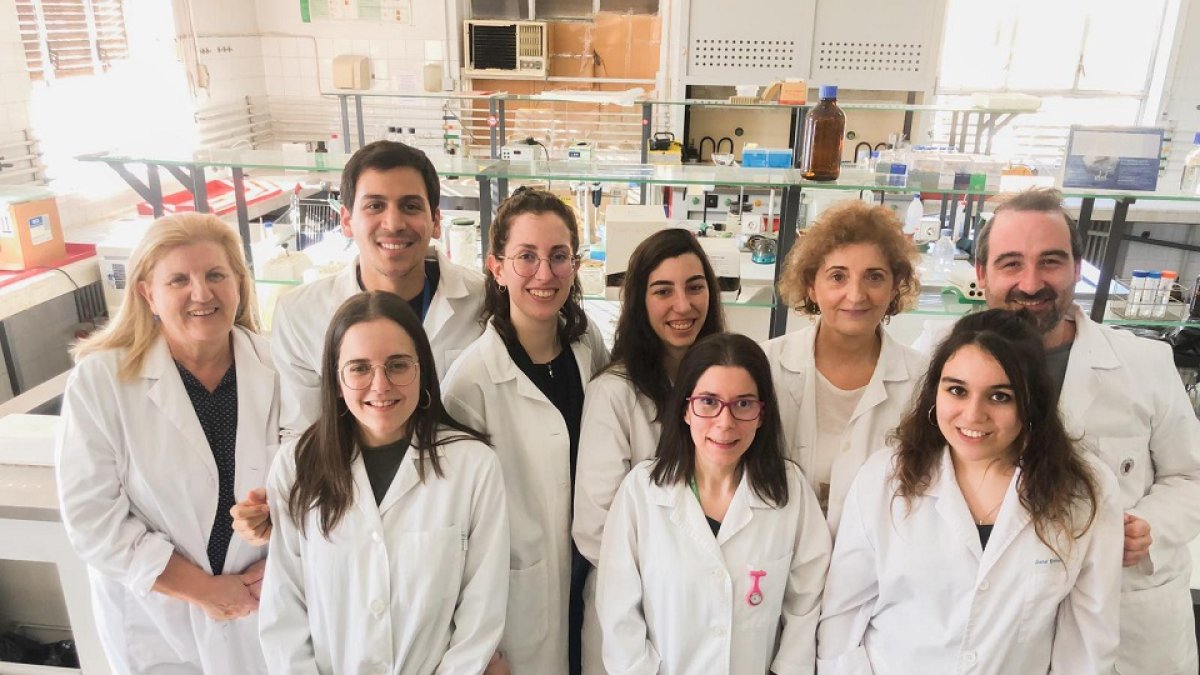 Investigadores participantes en el estudio del que forma parte el Instituto de Biología y Genética Molecular. - E.M.