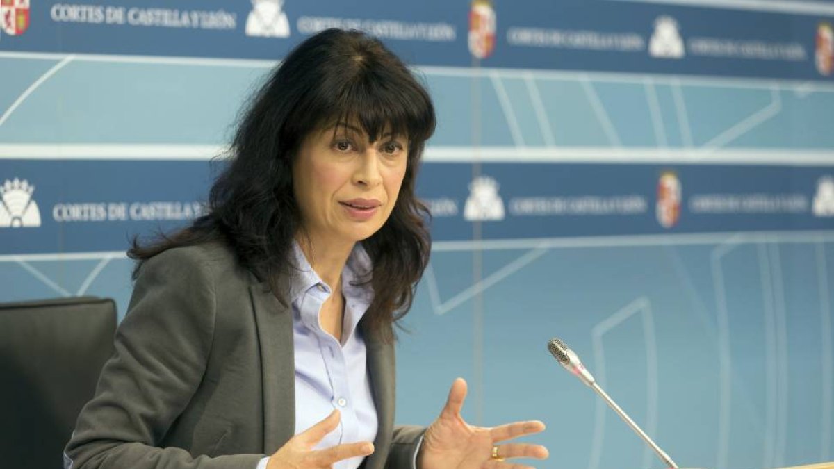 La portavoz del Grupo Socialista en las Cortes de Castilla y León, Ana Redondo-Ical