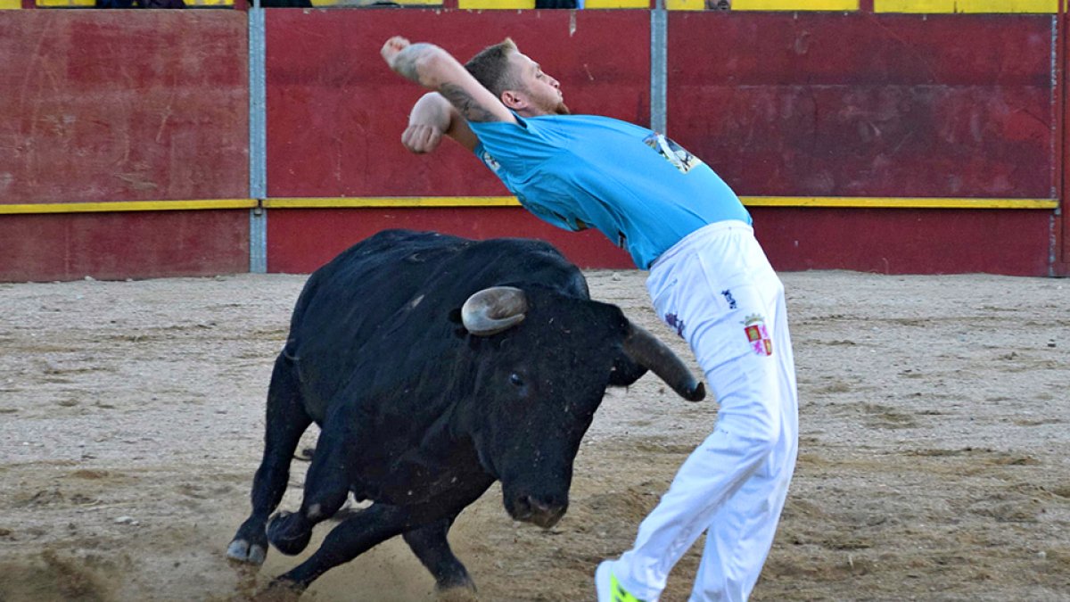 Concurso de cortes en Castronuño (Valladolid). -Raúl Taurino