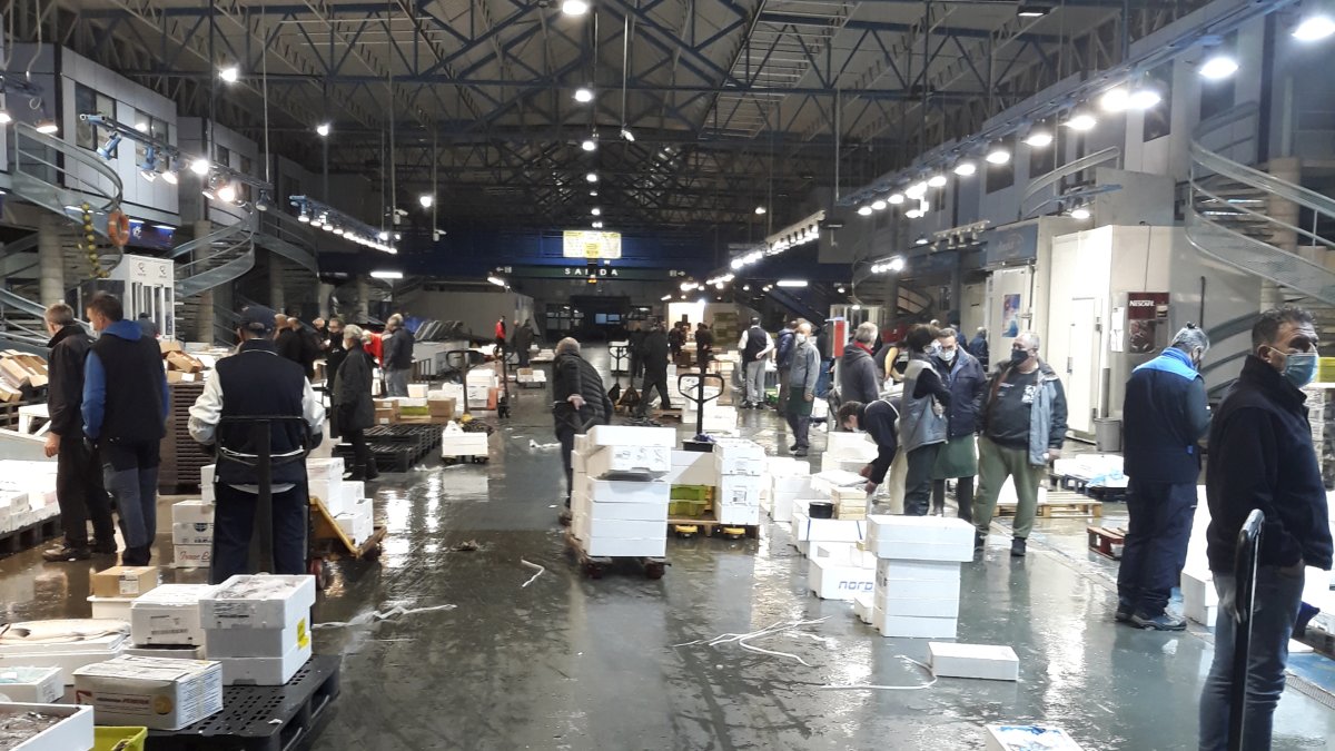 Decenas de personas en los pabellones de  pescados y frutas de Mercaolid. MERCAOLID