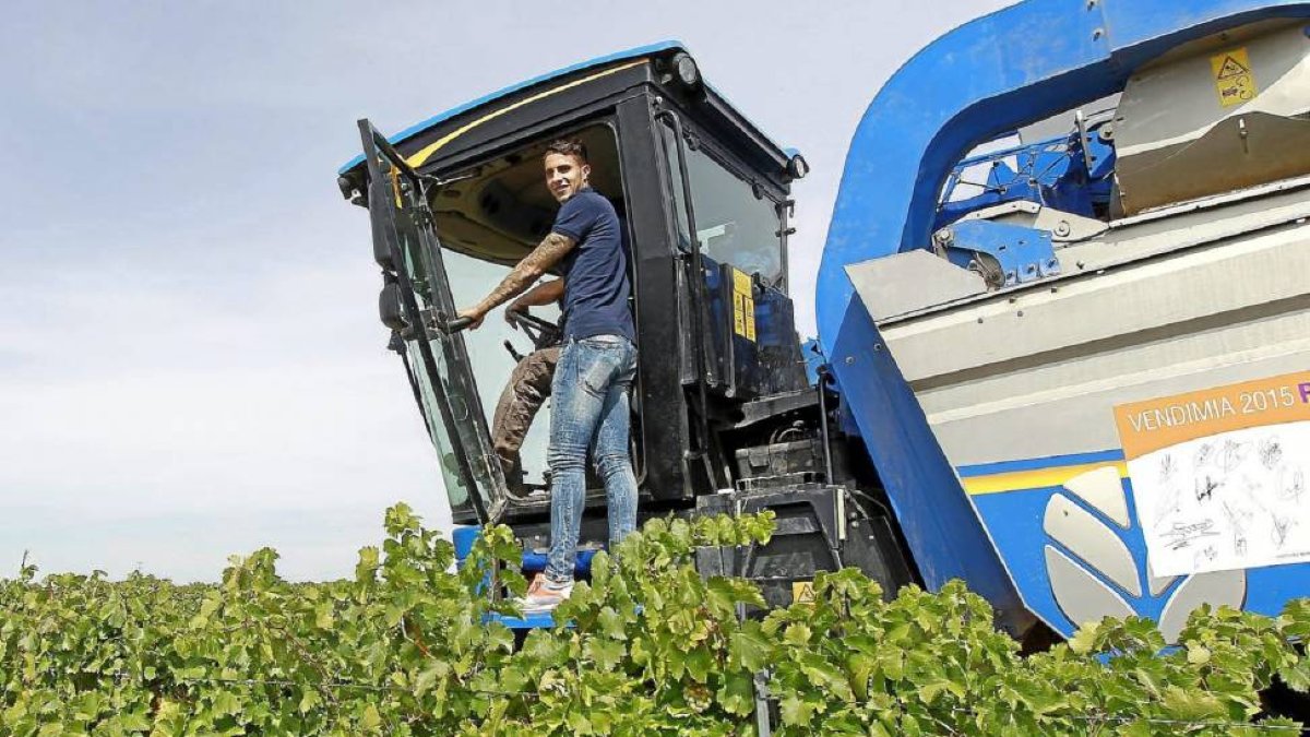 La plantilla participó ayer en la vendimia y visitó las instalaciones de la nueva bodega de Cuatro Rayas, en la imagen, Hermoso sobre una cosechadora.-J. M. Lostau