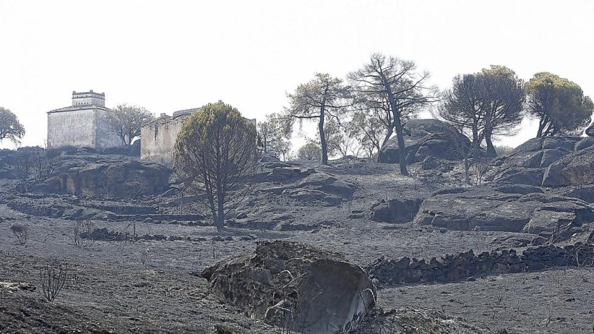 Imagen del incendio en Pinilla de Fermoselle-EL MUNDO