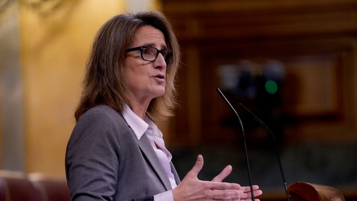 Teresa Ribero en el Congreso. ICAL.
