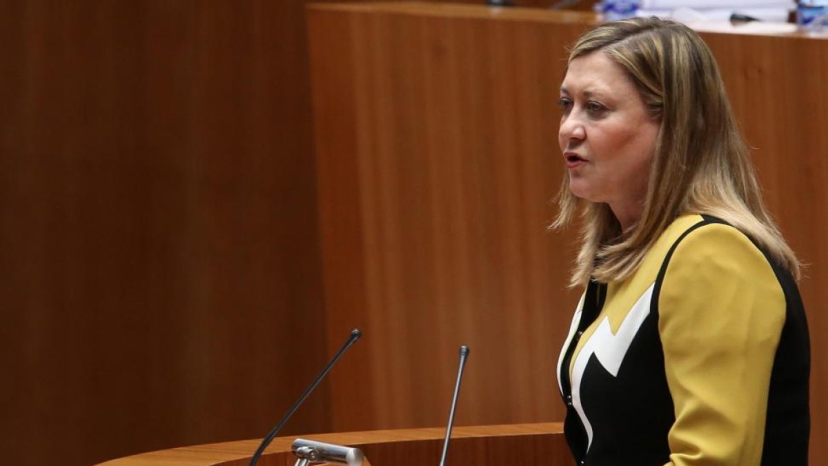 La consejera de Economía y Hacienda, Pilar del Olmo, durante el pleno monográfico sobre el debate y votación de los Presupuestos Generales de la Comunidad para 2016 y proyecto de ley de Medidas Tributarias.-ICAL