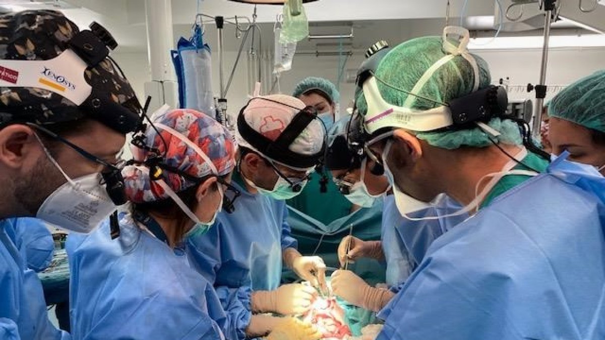 Una bebé de 13 meses de Segovia, primer caso en el mundo de trasplante de intestino tras donación en asistolia. Ical