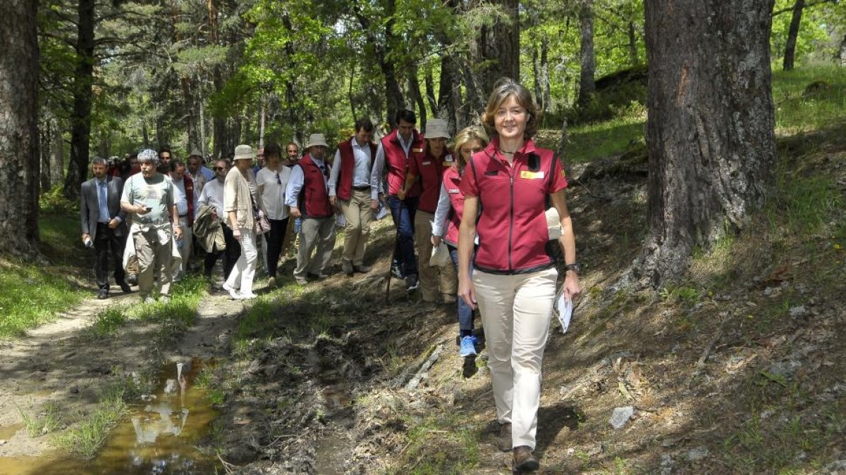La ministra de Agricultura, Alimentación y Medio Ambiente, Isabel García Tejerina, conmemora el centenario de los Parques Nacionales en las en las instalaciones del Centro Nacional de Educación Ambiental (CENEAM) en Valsaín (Segovia).-ICAL