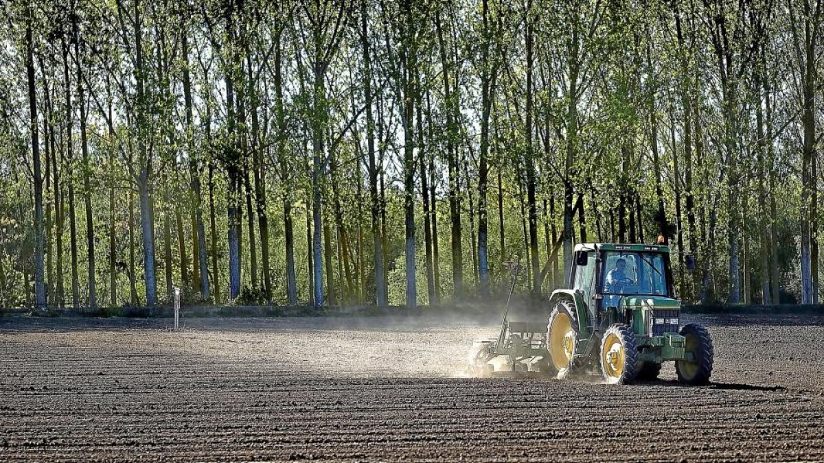 Un agricultor realiza distintas labores en el campo en una parcela de la provincia de Salamanca.-ENRIQUE CARRASCAL