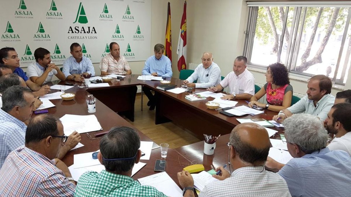 Reunión de la junta directiva de Asaja en Valladolid.-ICAL