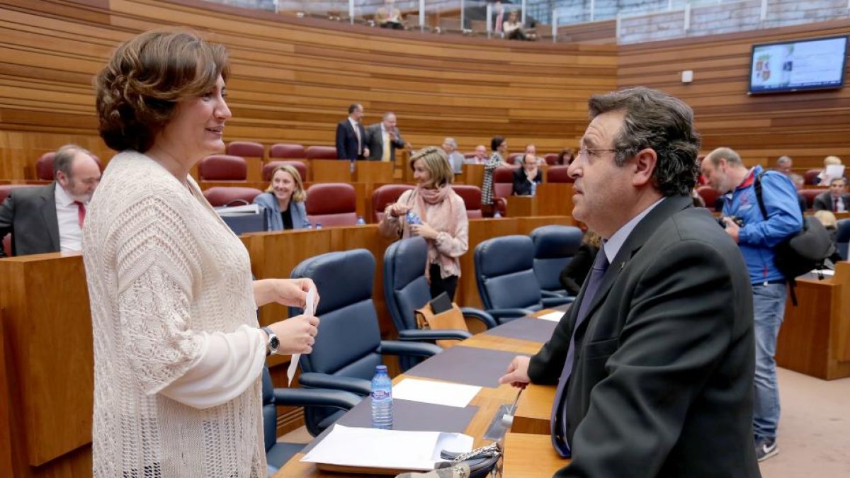 La consejera de Cultura y Turismo, Josefa García, conversa con el procurador socialista José Ignacio Martín, durante el Pleno de las Cortes de Castilla y León.-ICAL