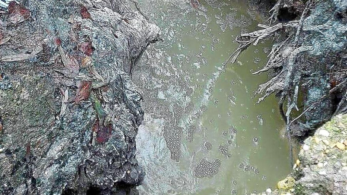 Desperdicios y aguas residuales vertidas desde la depuradora, junto al casco urbano de Herrera de Duero.-EL MUNDO