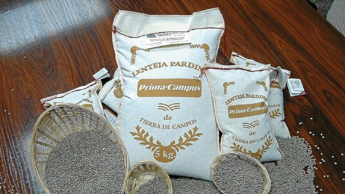 Lenteja Pardina de Tierra de Campos.-El Mundo