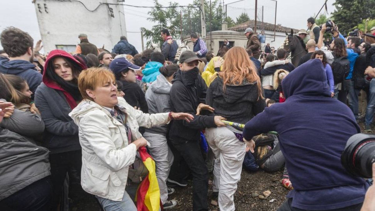 Taurinos y antitaurinos se enzarzan durante la celebración del Toro de la Vega.-Pablo Requejo