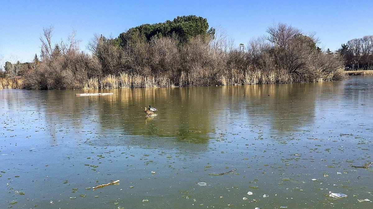 Lago congelado en Laguna de Duero. PHOTOGENIC /MIGUEL ÁNGEL SANTOS.