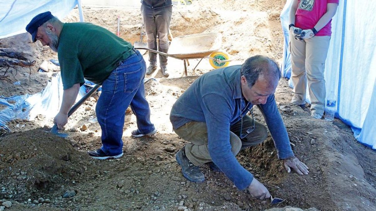 El presidente de la Asociación para la Recuperación de la Memoria Histórica, Julio del Olmo, excava junto a los restos de una de las fosas.-J.M.LOSTAU
