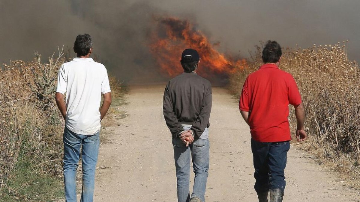 Tres agricultores pasean por una parcela en la que se realiza una quema controlada para combatir una plaga de topillos.-ICAL