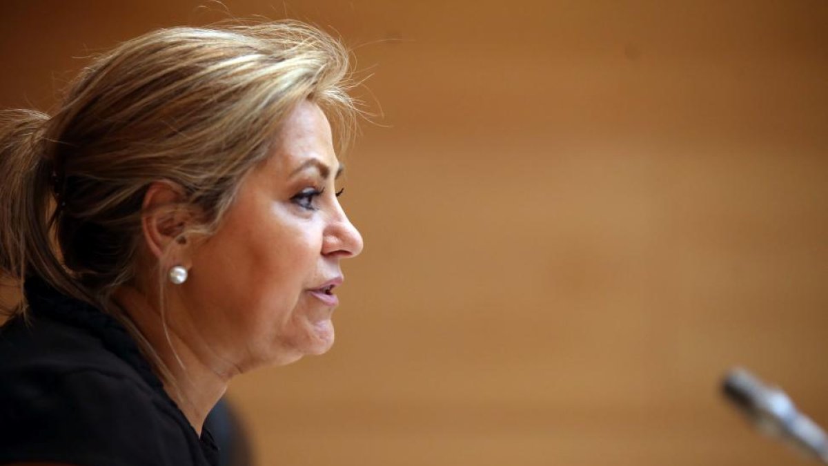 La vicepresidenta y portavoz del Ejecutivo, Rosa Valdeón, informa de los acuerdos del Consejo de Gobierno.-ICAL