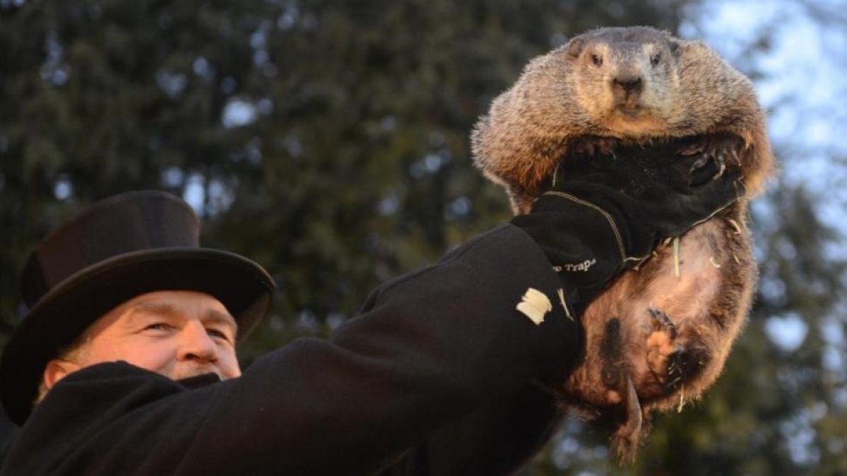 John Griffiths muestra la marmota Phil a la multitud reunida este jueves en Punxsutawney.-REUTERS / ALAN FREED