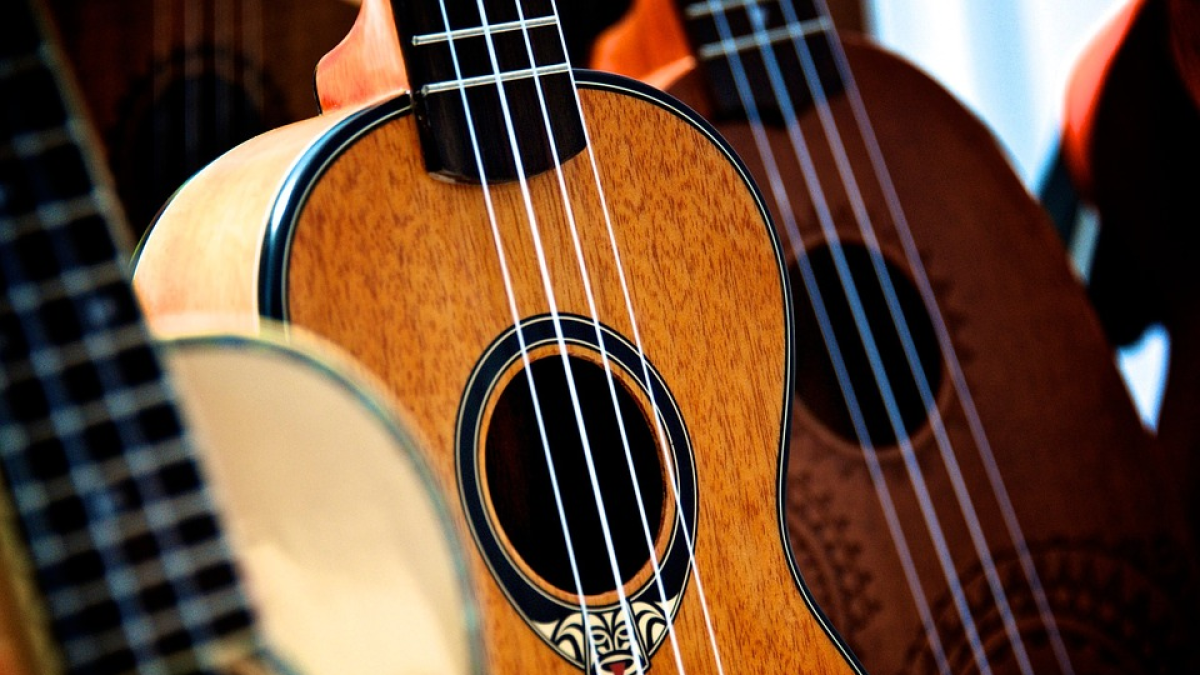 flamenco