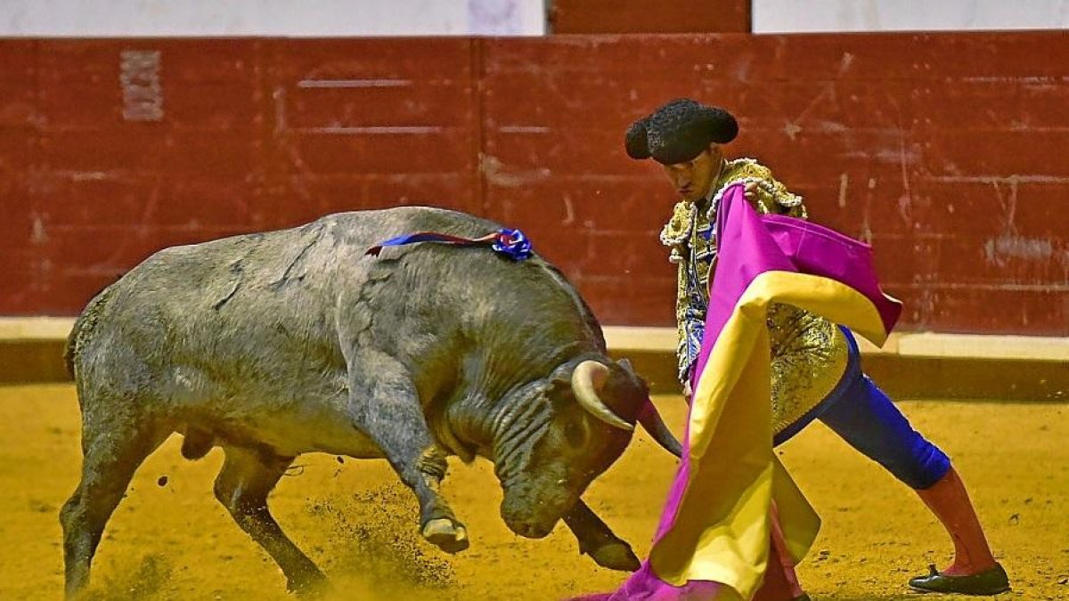 Lance de capote del diestro Rubén Pinar, ante el victorino al que desorejó.-JOSÉ SALVADOR
