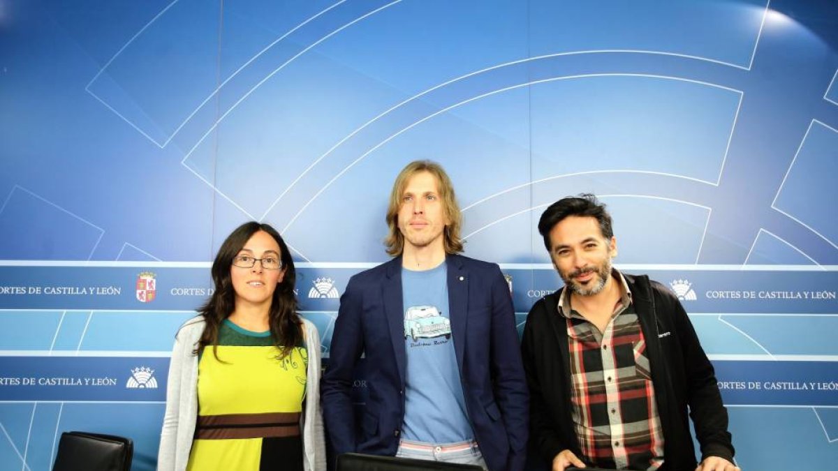 El Grupo Parlamentario de Podemos en las Cortes de Castilla y León, encabezado por Pablo Fernández (C), presenta el contenido de una moción no de ley sobre violencia de género-Ical