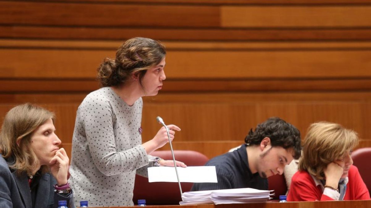 La procuradora de Podemos Natalia del Barrio, durante el pleno monográfico sobre el debate y votación de los Presupuestos Generales de la Comunidad para 2016 y proyecto de ley de Medidas Tributarias.-ICAL
