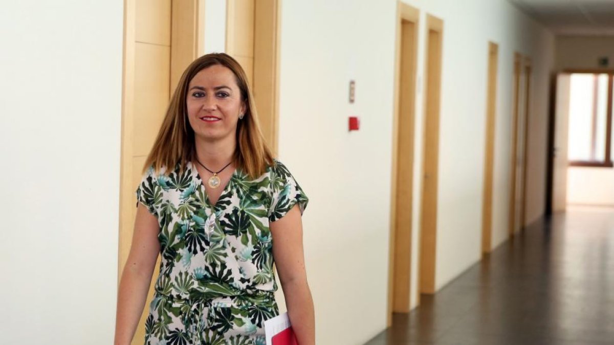 La viceportavoz del Grupo Parlamentario Socialista y vicesecretaria general del PSOE de Castilla y León, Virginia Barcones.-ICAL
