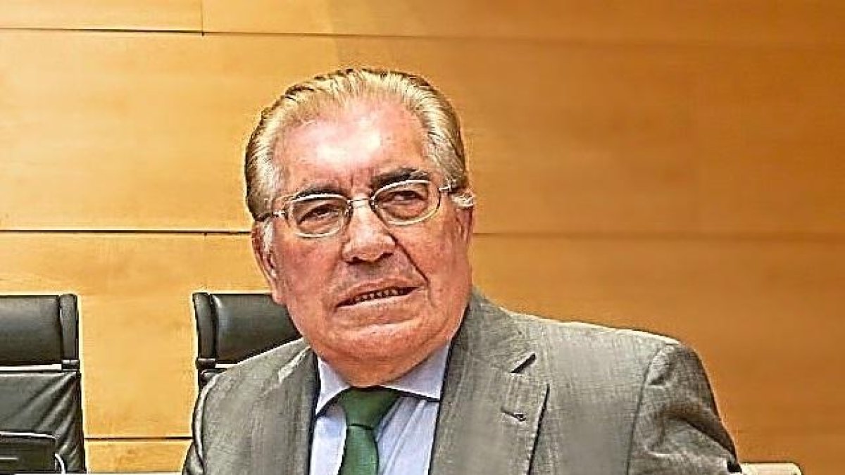 Vícente Ruiz ayer en la comisión.-ICAL