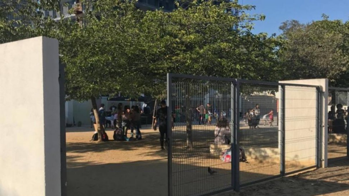El patio de la escuela Artur Martorell, abierto al público hasta el domingo.-