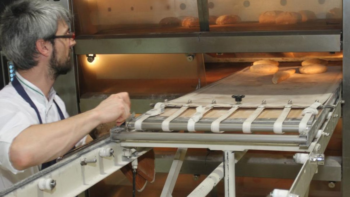 Un operario introduce panes en una máquina en el centro tecnológico Cetece de Palencia.-MANUEL BRÁGIMO