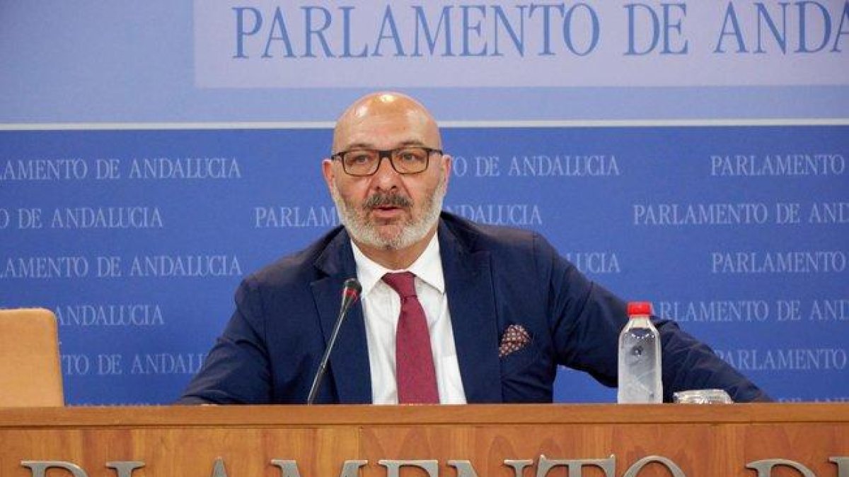 Alejandro Hernández, portavoz en el Parlamento andaluz de Vox Andalucía.-EL PERIÓDICO
