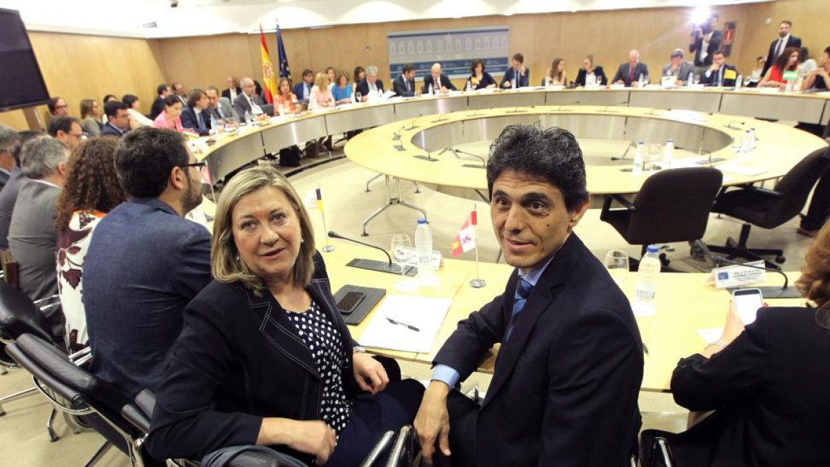 La consejera de Hacienda, Pilar del Olmo, en una de las reuniones del Consejo de Política Fiscal y Financiera.-ICAL