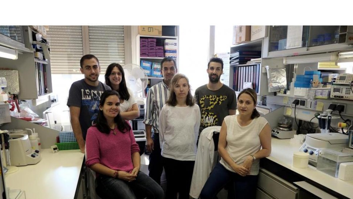 Miembros del equipo de investigación de Isidro Sánchez-García, en el Centro del Cáncer de Salamanca.-E. CARRASCAL