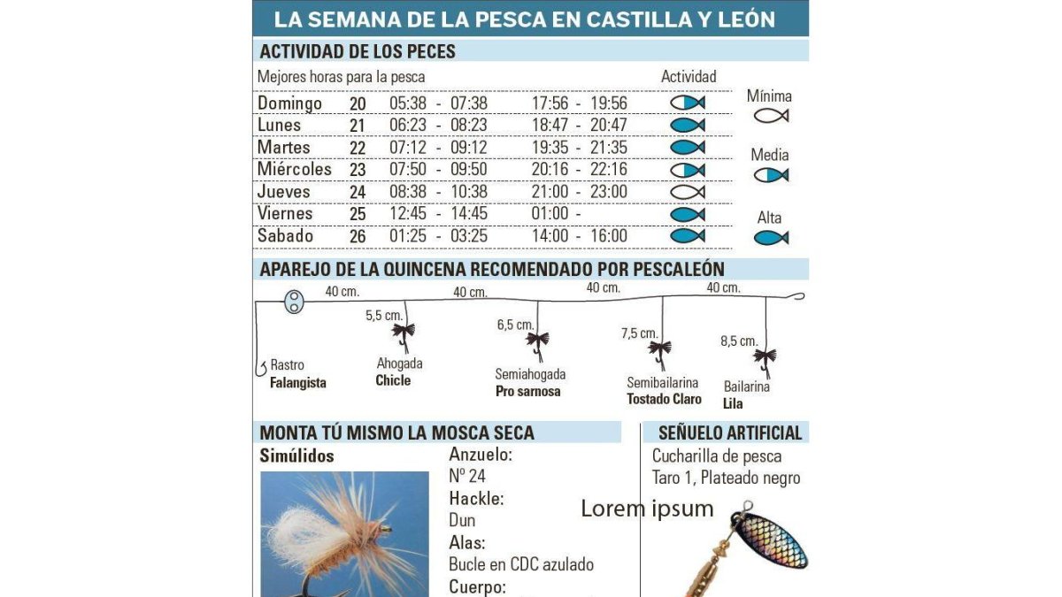 -EL MUNDO DE CASTILLA Y LEÓN