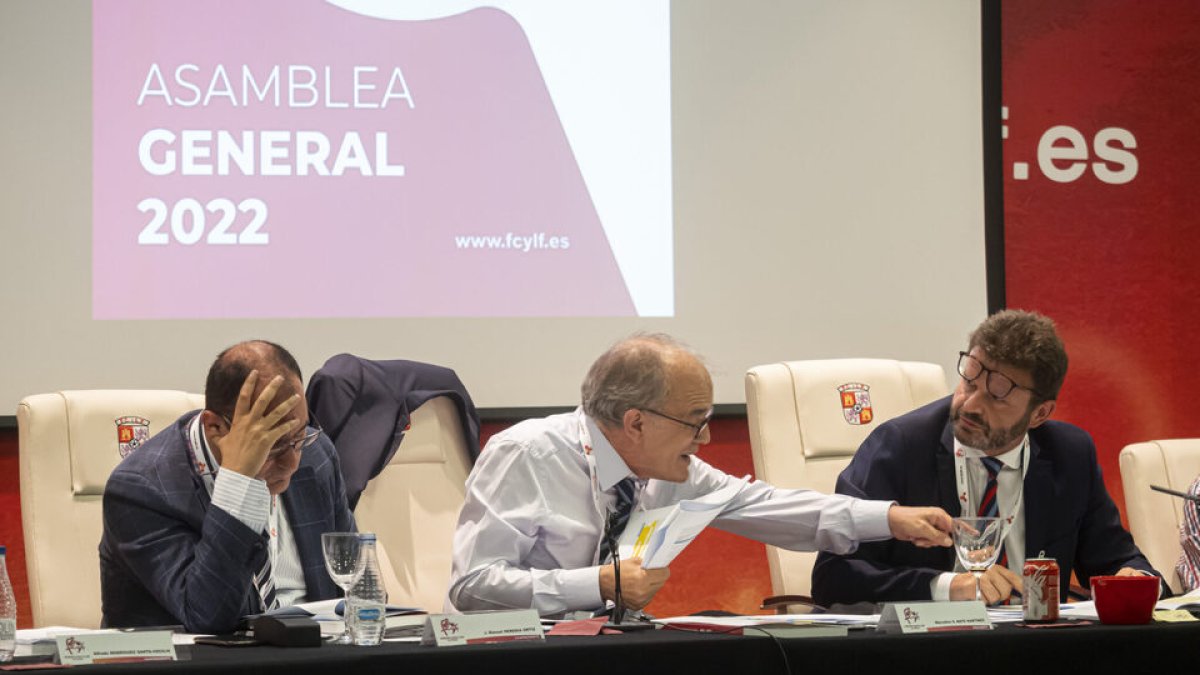 Heredia, Maté y Menéndez en la Asamblea. / RFCYLF