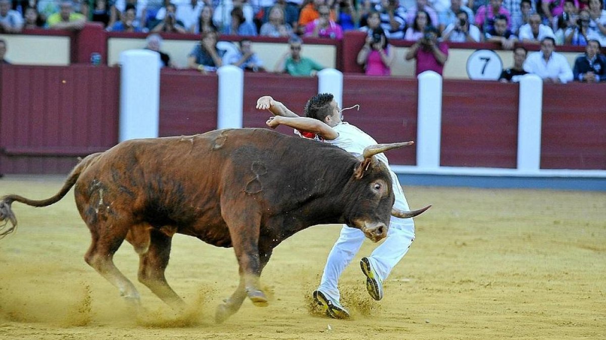 Un recortador, en un momento de un lance el año pasado.-JOSÉ SALVADOR