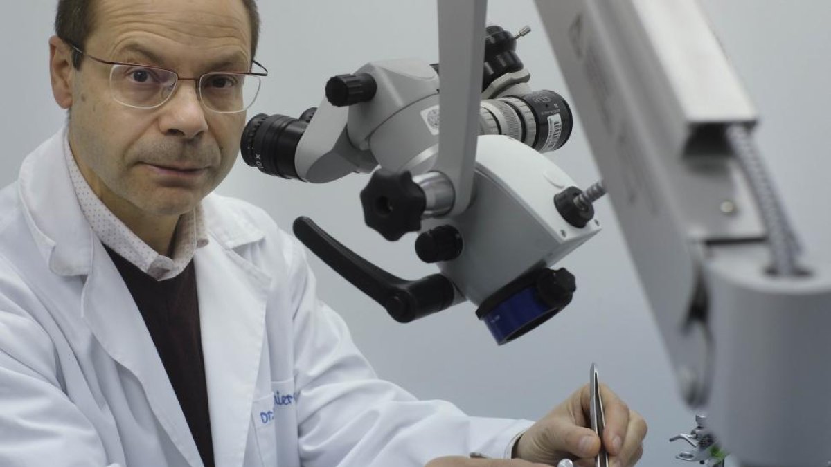 Manuel Sánchez, director del proyecto, en las instalaciones del Instituto de Neurociencias de Castilla y León.-ENRIQUE CARRASCAL